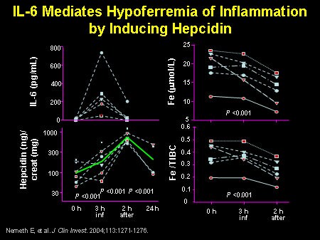 IL-6 Mediates Hypoferremia of Inflammation by Inducing Hepcidin