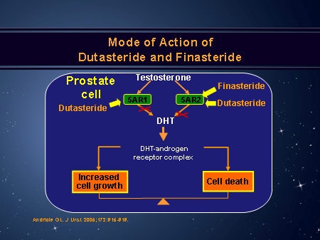 ppt finasteride action mechanism of