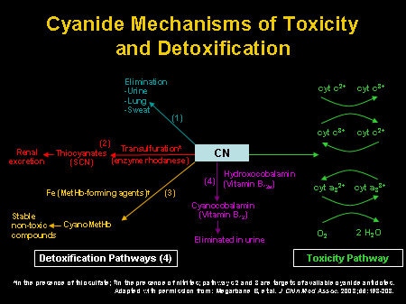 an antidote for cyanide poisoning