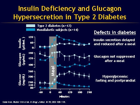 Incretin-Based Therapeutic Strategies: A Clinical Perspective (Slides ...