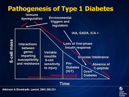 Insulin Therapy of Diabetes: Pathophysiology and Indications