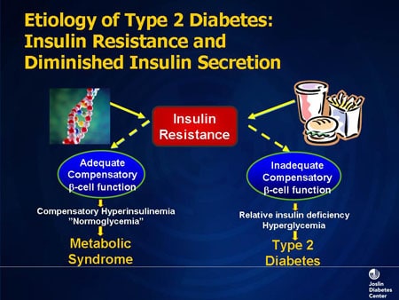 Insulin Therapy of Diabetes: Pathophysiology and Indications