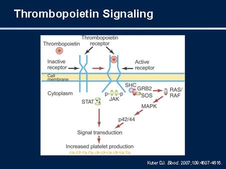 Tpo Signalling Blood Products and Growth Factors in the Treatment of Thrombocytopenia ...