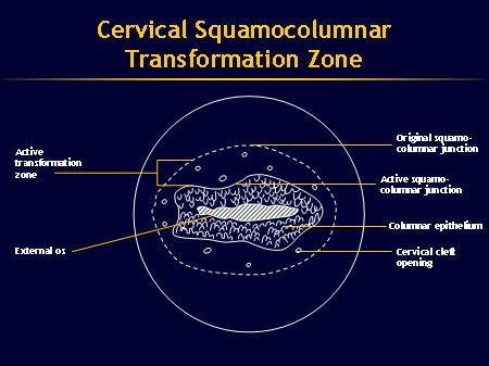 Slide 8.