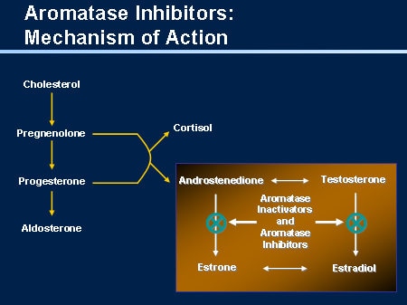 steroide injection Review: Que peut-on apprendre des erreurs des autres