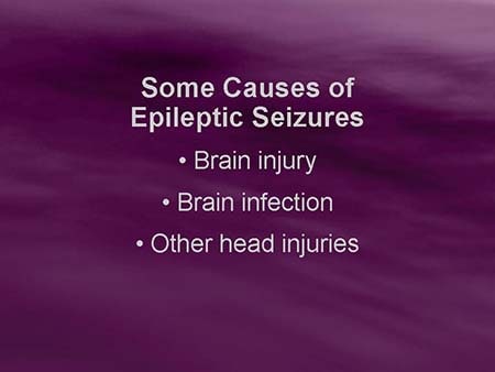 The Role of Potassium Channel Ions in Epilepsy (Slides With Transcript)