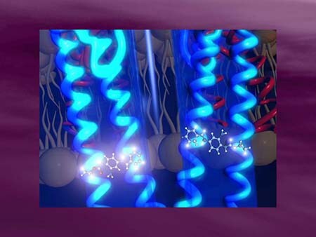 The Role Of Potassium Channel Ions In Epilepsy (slides With Transcript)