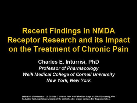 Recent Findings in NMDA Receptor Research and Its Impact on the ...