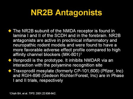 Recent Findings in NMDA Receptor Research and Its Impact on the ...