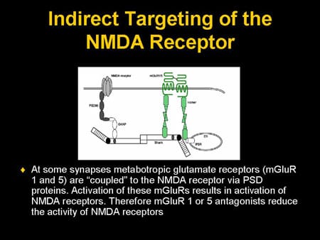 Recent Findings in NMDA Receptor Research and Its Impact on the ...