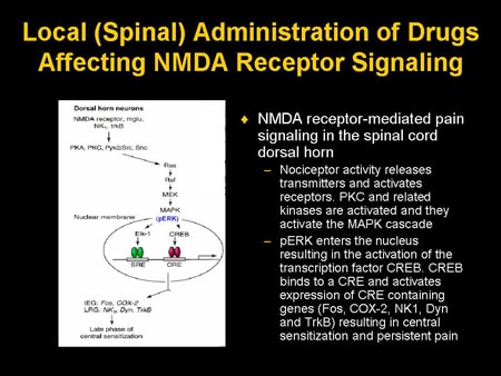 SciELO - Brazil - Does mismatch negativity have utility for NMDA receptor  drug development in depression? Does mismatch negativity have utility for  NMDA receptor drug development in depression?