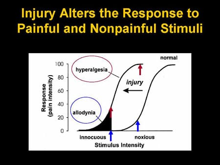 Recent Findings in NMDA Receptor Research and Its Impact on the ...