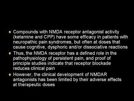 Recent Findings in NMDA Receptor Research and Its Impact on the ...