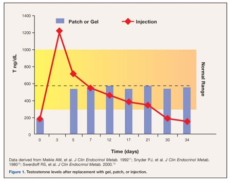 Testosterone Half Life Chart