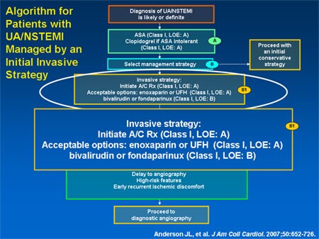 2007 ACC/AHA UA/NSTEMI Revised Guidelines (Slides With Transcript)