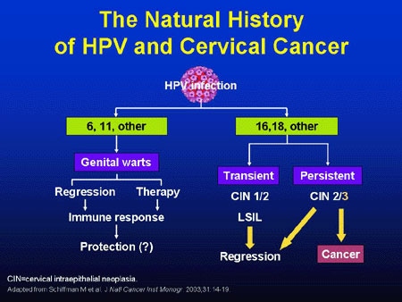 The Role of HPV in Disease and Oncogenesis (Slides With Transcript)