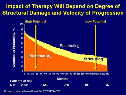 Setting New Treatment Goals for Crohn's Disease in 2008 (Slides/Transcript)