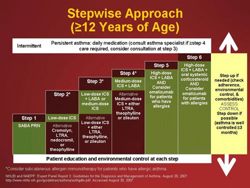 Comprehensive Management of Pediatric Asthma-Guidelines (Slides/Transcript)