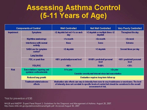 New Guidelines as Tool for Managing Asthma in Practice (Slides/Transcript)