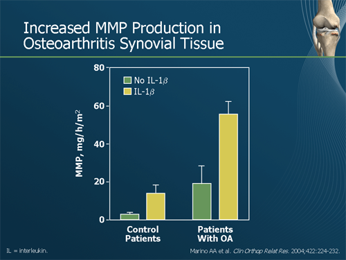 Viscosupplementation For Knee OA: Improving Outcomes (Slides/Transcript)