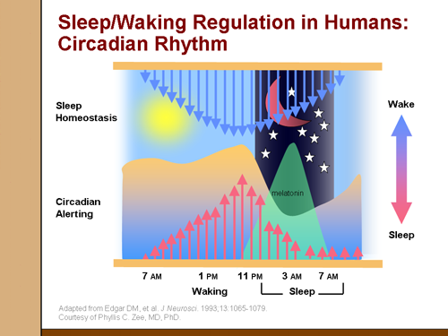 Insomnia Manifestations Risks And Diagnosis Slides With Transcript 8669