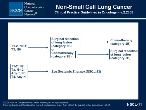 NCCN Clinical Practice Guidelines in Oncology Symposium: NSCLC (Transcript)