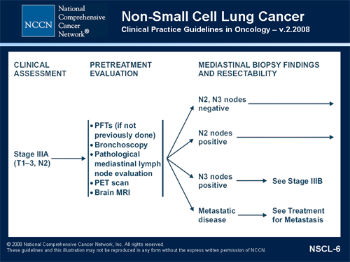 NCCN Clinical Practice Guidelines in Oncology Symposium: NSCLC (Transcript)