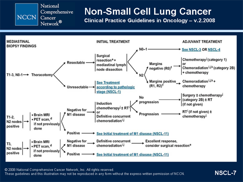 NCCN Clinical Practice Guidelines in Oncology Symposium: NSCLC (Transcript)