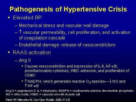 Management of Hypertensive Crisis: Advances in Pathogenesis and ...