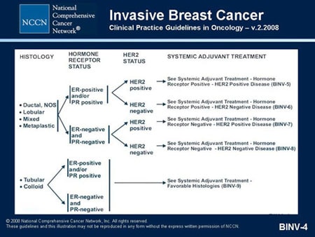 breast cancer research and treatment submission guidelines