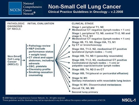 NCCN Non Small Cell Lung Cancer Guidelines Update Slides With Transcript