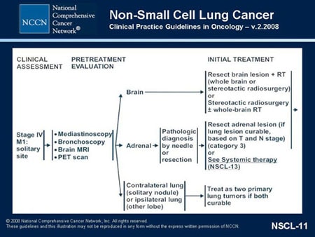 NCCN Non-Small Cell Lung Cancer Guidelines Update (Slides With Transcript)