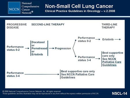 NCCN Non-Small Cell Lung Cancer Guidelines Update (Slides With Transcript)