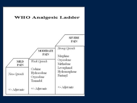 analgesic ladder