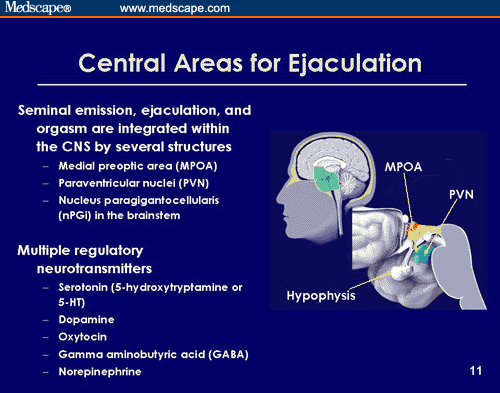 Recent Progress in the Diagnosis and Treatment of Premature