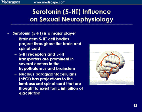 Recent Progress in the Diagnosis and Treatment of Premature