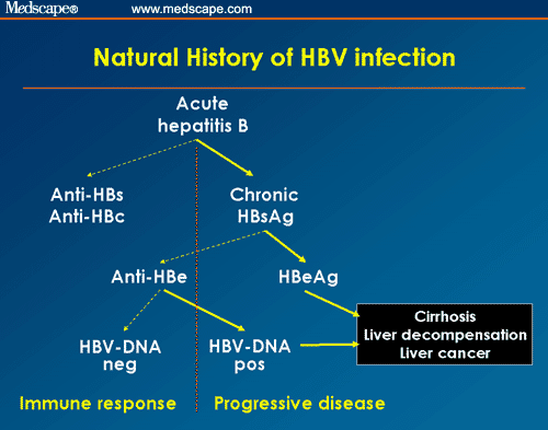 Advances In The Treatment Of Patients Coinfected With Hiv And Hbv Or Hcv 0104