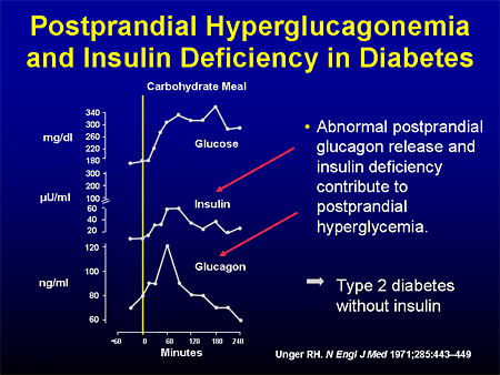 Amylin Replacement for Insulin-Treated Patients With Type 1 or Type 2 ...