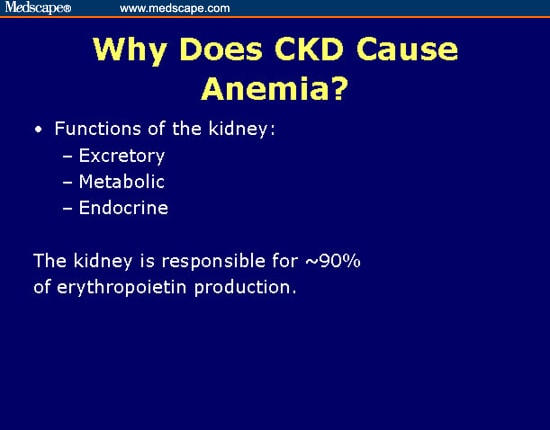 Why Does CKD Cause Anemia?