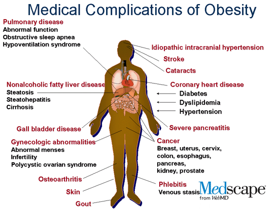 Practical Approaches to the Treatment of Obesity