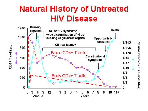 HIV Pathogenesis (Slides With Transcript)