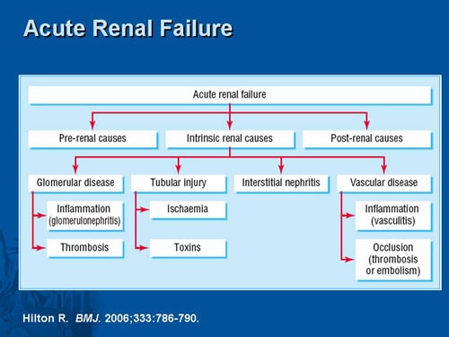 Art With Renal Dysfunction (slides With Transcript)