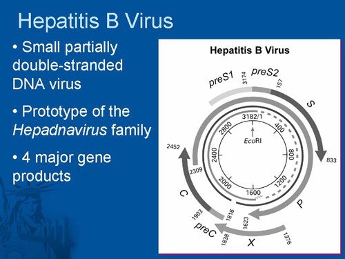 Hepatitis B Coinfection (Slides With Transcript)