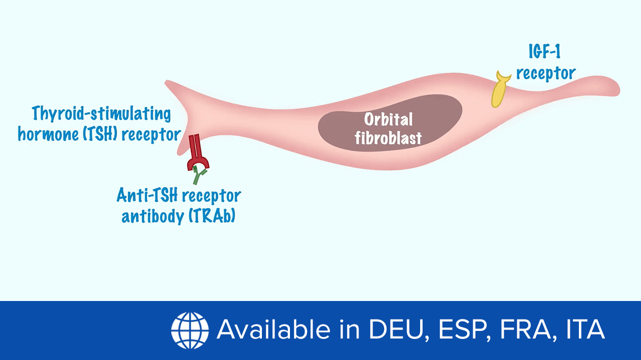 New Perspectives in Thyroid Eye Disease