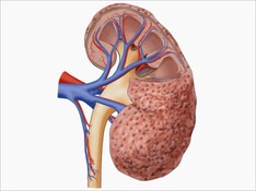 Fast Five Quiz: Is Your Knowledge of Chronic Kidney Disease Sufficient?