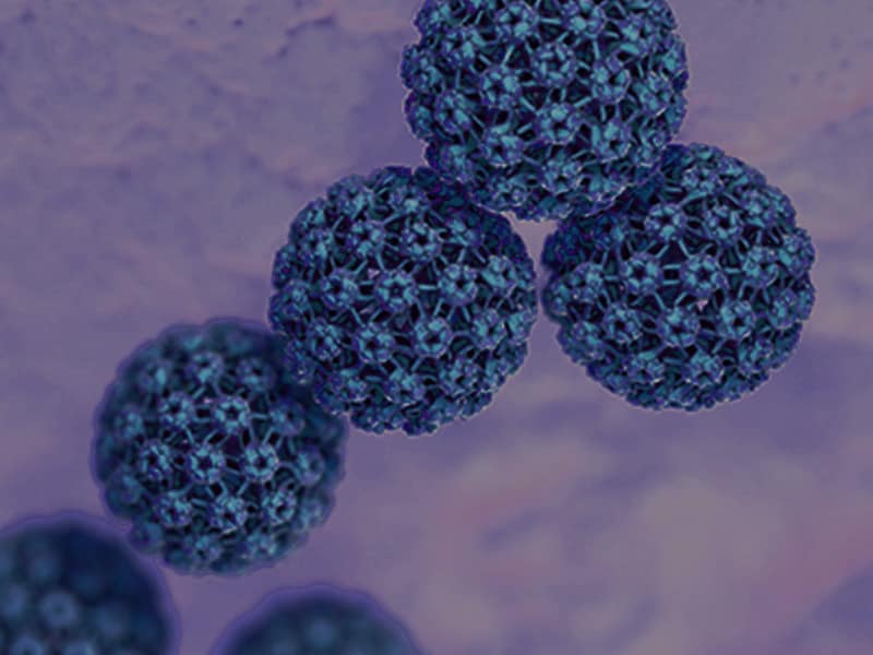 Distilling the Data: The Latest Updates on HPV-Related Disease and Its Prevention  