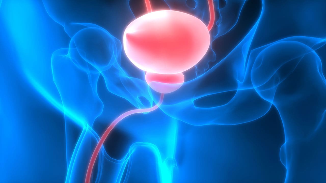 Current and Future Role of Immune Checkpoint Inhibitors for the Treatment  of Advanced Bladder Cancer