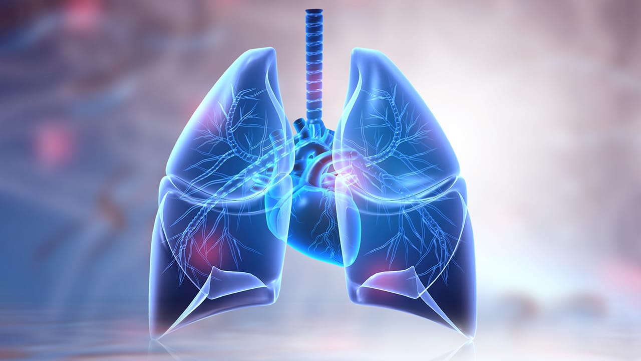 Multispecialty CME - Medscape Education