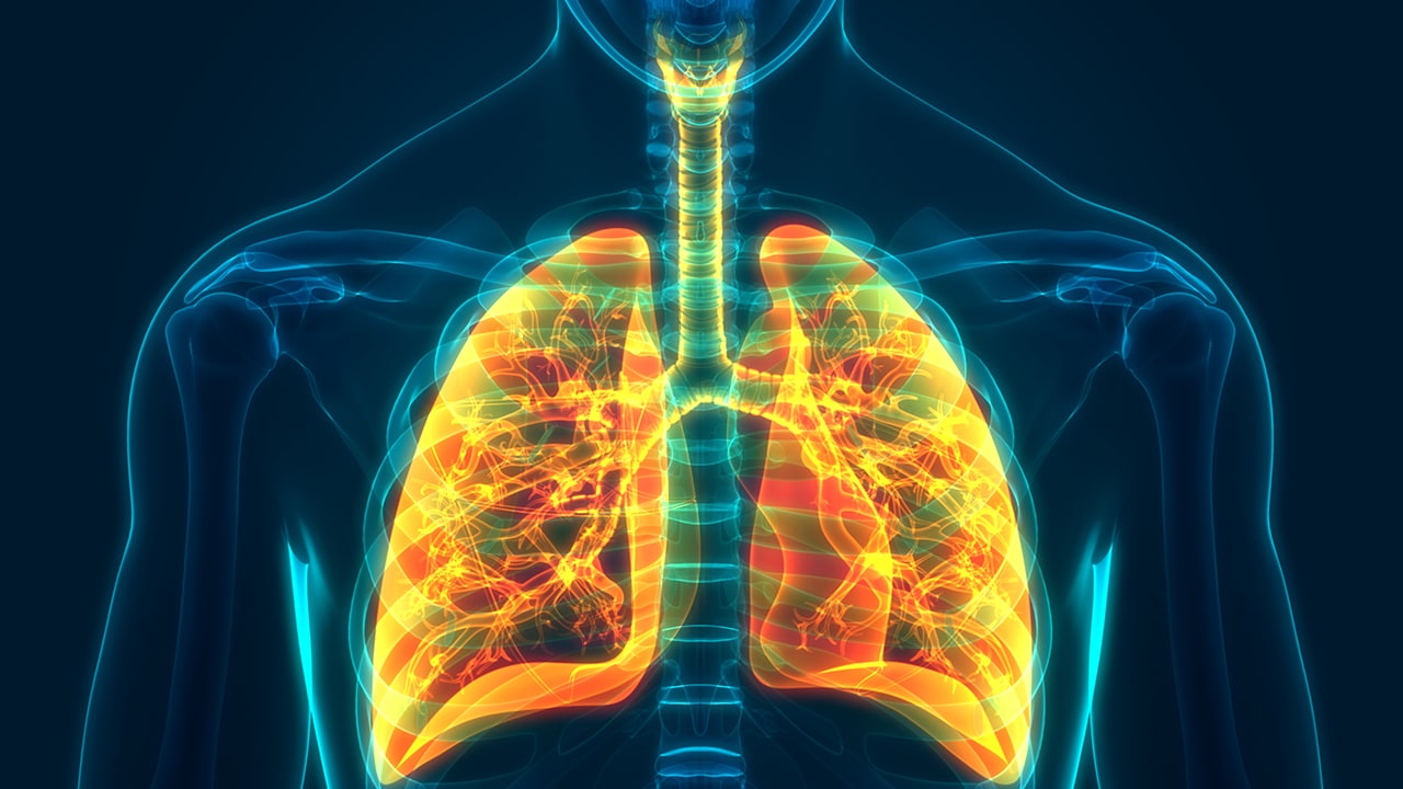 Lung Transplant Rejection: Micro Learnings on Advances in Surveillance Technology 