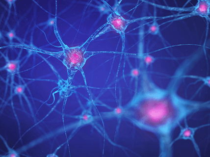 Perspectivas latinoamericanas en el diagnóstico y manejo clínico de la enfermedad de Alzheimer